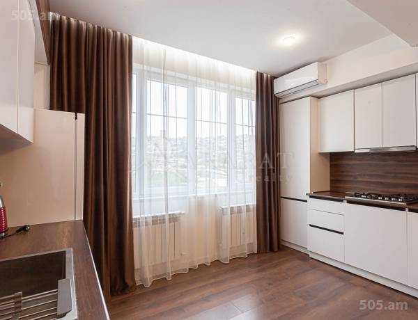 2-senyakanoc-bnakaran-vardzakalutyun-Yerevan-Center