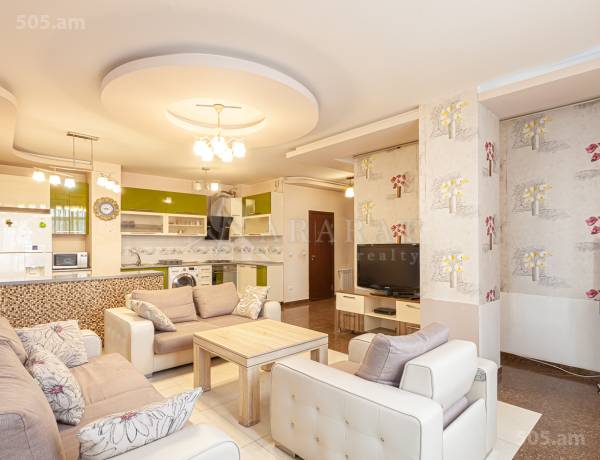 3-senyakanoc-bnakaran-vardzakalutyun-Yerevan-Arabkir