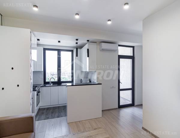 3-senyakanoc-bnakaran-vacharq-Yerevan-Arabkir