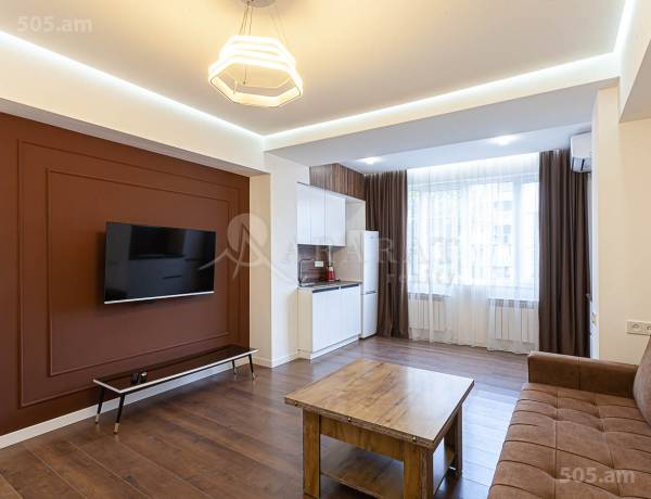 2-senyakanoc-bnakaran-vardzakalutyun-Yerevan-Center