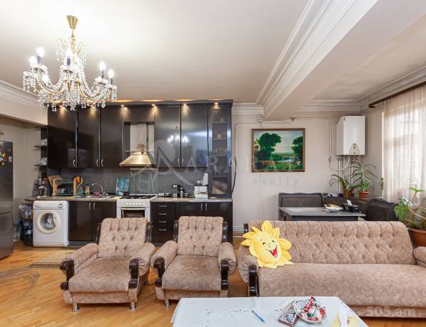 3-senyakanoc-bnakaran-vacharq-Yerevan-Arabkir