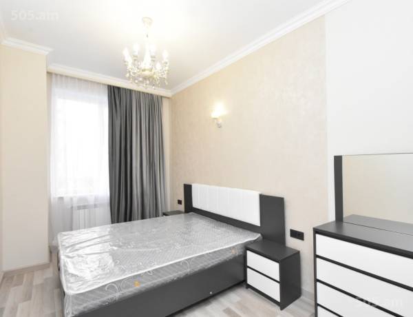 4-senyakanoc-bnakaran-vardzakalutyun-Yerevan-Achapnyak