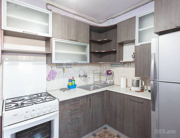 3-senyakanoc-bnakaran-vacharq-Yerevan-Arabkir
