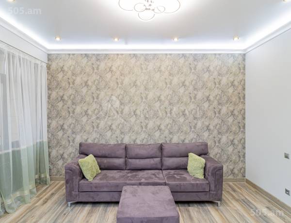 3-senyakanoc-bnakaran-vardzakalutyun-Yerevan-Center